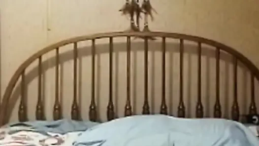 Wife's Secret Cam Show