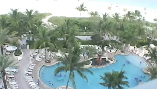 Mükemmel emme becerilerine sahip çarpıcı bir piliç