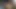 Zenci ateşli orta yaşlı seksi kadın ev yapımı seks kaseti için arka bahçede yarağımı emiyor