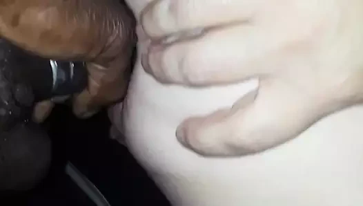 Traila park etiketlendi kedi