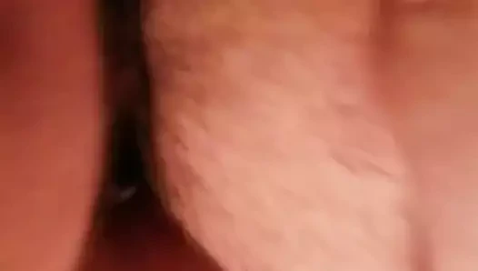 Şişman kedi Başlarken becerdin