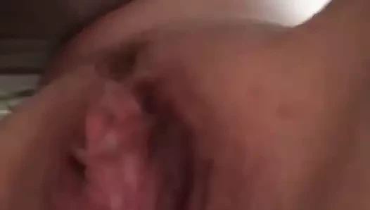 Gfd kedi dolu tarafından yabancı