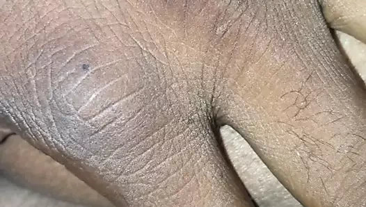 Kremsi ıslak komşu kedi