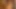 Dana DeArmond teaser 36