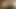grandpa cum cam