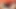Azgın orta yaşlı seksi kadın kocasının yarağı ve taşaklarıyla oynamadan önce yarak ve taşak emiyor
