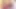 Lyla Lei ve Kyanna Lee döllerini istiyor