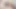 Büyük yarak sıkı amcığını sikerken seksi hatun zevkle çığlık atıyor