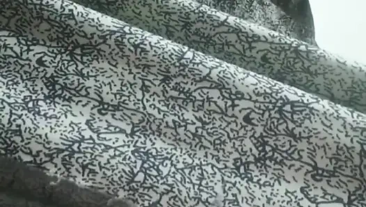 Zarif gece elbiseli Hintli güzellik - yavaş azdırma ve yoğun solo oyun - yüz yok - 4k ultra hd