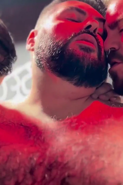 Naughty Bears rectum'da