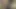 Travesti eğiliyor ve sıkı götünü yalatıyor ve deliniyor