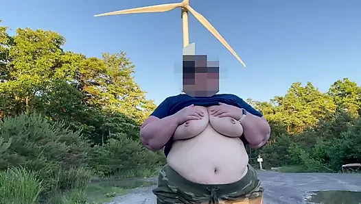 The Wind Farm'da