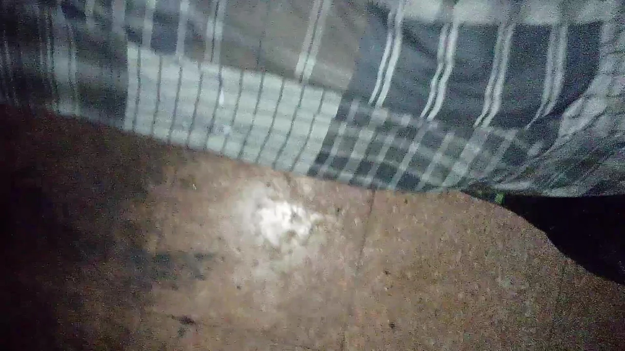 Sadece büyük zenci yarağıyla büyük bir döl boşalması