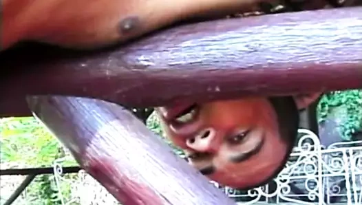 Göt sikişmeden önce tatlı dilleme