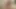 Esmer orta yaşlı seksi kadın vahşi oral seks yapıyor ve boşalıyor