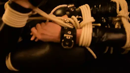 Kedi kıyafetine bağlı ip