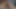 Xvideo'da zevkten inleyen Hintli üvey kız kardeşe biniyor.