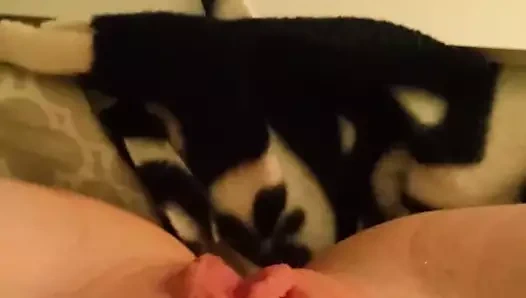 Rastgele adamlar haraç izlerken onu kedi ile oynamak