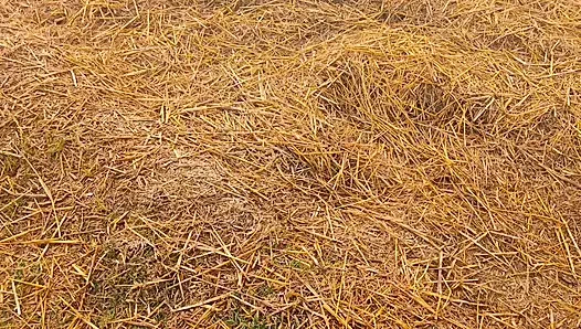 Hintli güzel karım desi kız seks videosu porno video xx video ateşli seksi video