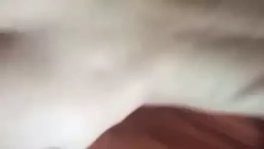 Kalın bir güzelliğe sahip yoğun köpek
