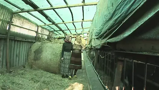 Aman tanrım deliye izleme