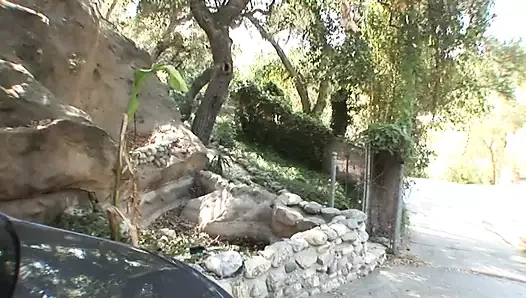 Randy orospu gets ona kedi çarptım ve kremalı ve ağız becerdin