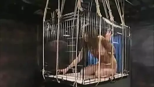 kafesli ve püskürtülür Asya teen