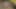 Oyuncu seçmeleri yönetmeni sert yarağını sigara içen ateşli esmer genç kızın içine alıyor