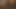 Queensnake.com - mutlu yıllar 1