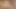 Desi Indian Bhabhi and Devar Doing Sex Alone at Home, Desi Village Bhabhi Tight Pusssy Hard-core Xxx Video. SexyHub969