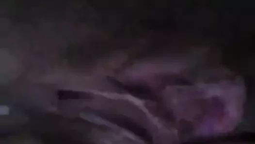 Amcık