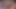 Tushyraw anal ve şaşkın tüm gün ve gece