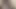 Türk kıllı kedi çift seks