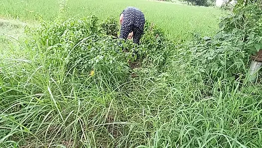 En iyi görülen açık havada seks videoları