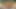 South african Hint tombul kız üzerinde kam