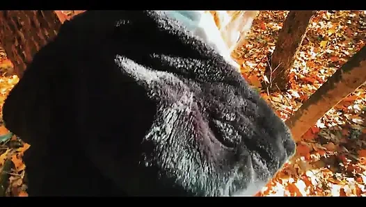 Yürürken ormanda büyük götlü bir güzeli siktim