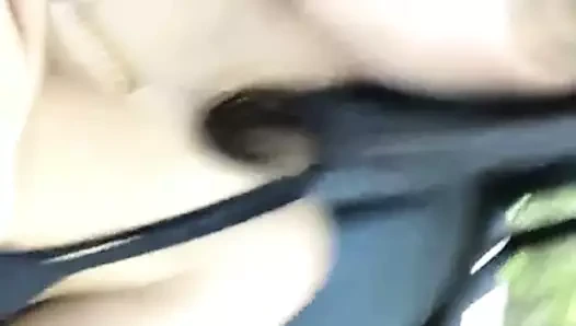 Kamu kedi oyun içinde the araba