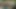 Amcık yalayan amcık bahçede anal sikiliyor