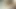 18yo esmer genç ile küçük memeler bir Creampie alır