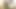 Indian Girl Trades Pussy for Family's Future and Gets Creamed  -AI Generated