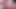 Yılanı salla - minyon pembe saçları minik kıçını kırdı