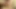 Tombul travesti Hilda Brasil yırtık içinden sikiliyor