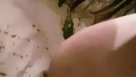 Dogging bbw büyük göğüsler