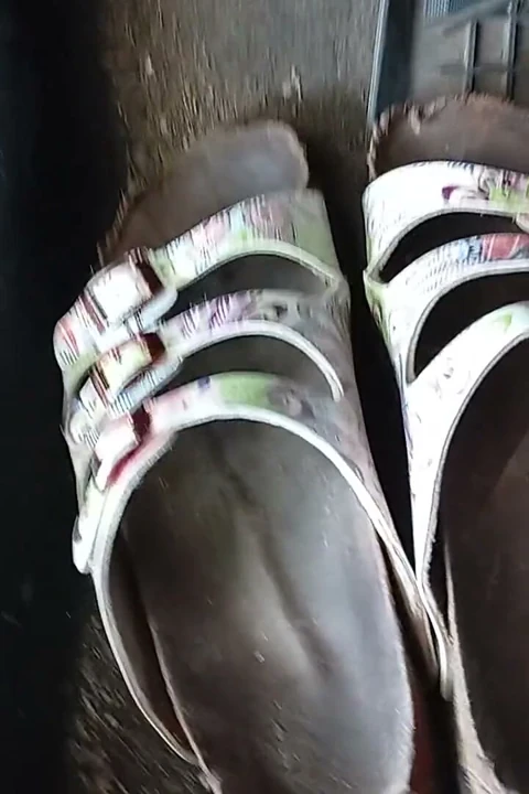 Birkenstock ayakkabılarıyla pedal çevirmek