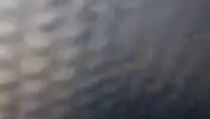 kahverengi ve kahverengi