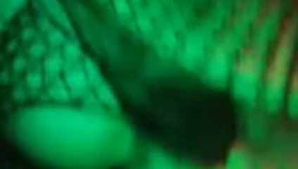 Genç en iyi sikme hiç