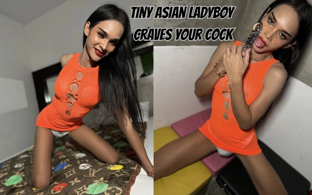 Minik Asyalı ladyboy yarağını istiyor