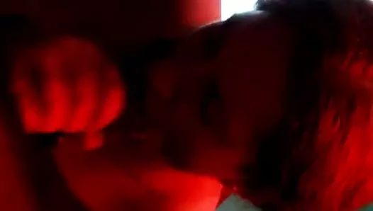 zencefil kırlangıçlar