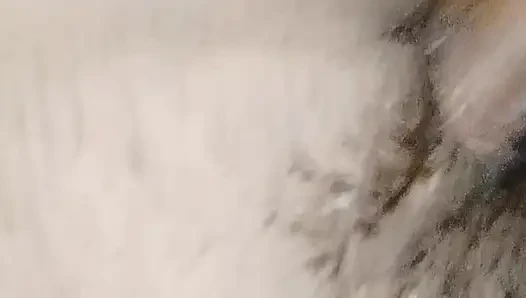 Karı koca hoot