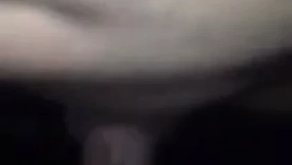 Lanet benim sıcak hanımları inanılmaz kedi ve temizlik